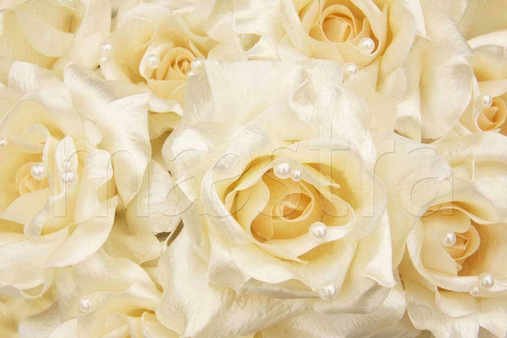 Фотообои Белые розы на стену