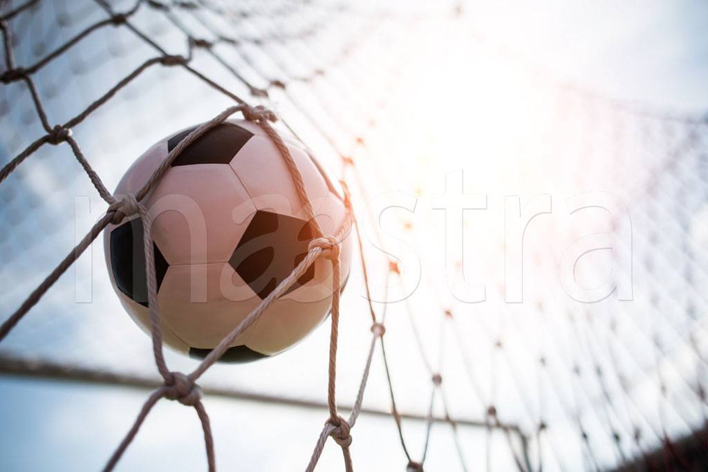 Фотообои Футбольный мяч в воротах